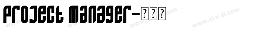 Project Manager字体转换